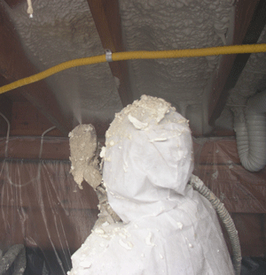 Corona CA crawl space insulation